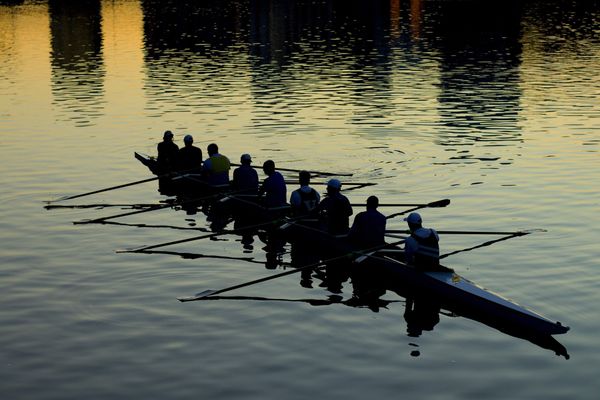 Why CMOs need to be the primary  customer advocate